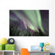 Aurora Borealis with Trees Wall Decal Design 8