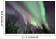 Aurora Borealis with Trees Wall Decal Design 8