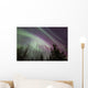 Aurora Borealis with Trees Wall Decal Design 7