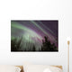 Aurora Borealis with Trees Wall Decal Design 7