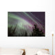 Aurora Borealis with Trees Wall Decal Design 7