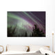 Aurora Borealis with Trees Wall Decal Design 7