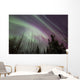 Aurora Borealis with Trees Wall Decal Design 7