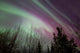 Aurora Borealis with Trees Wall Decal Design 7