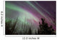 Aurora Borealis with Trees Wall Decal Design 7