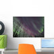 Aurora Borealis with Trees Wall Decal Design 6