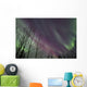 Aurora Borealis with Trees Wall Decal Design 6