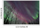 Aurora Borealis with Trees Wall Decal Design 6