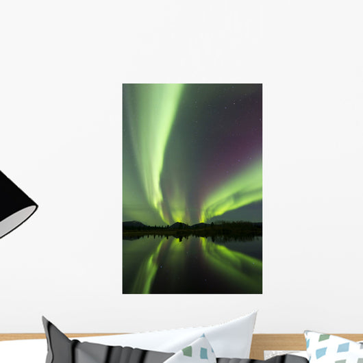 Aurora Borealis over Fish Wall Decal Design 24