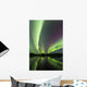 Aurora Borealis over Fish Wall Decal Design 24