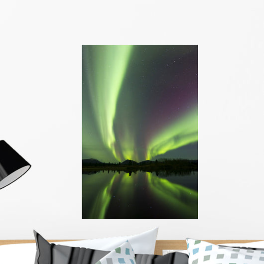 Aurora Borealis over Fish Wall Decal Design 24