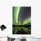Aurora Borealis over Fish Wall Decal Design 24