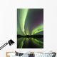 Aurora Borealis over Fish Wall Decal Design 24