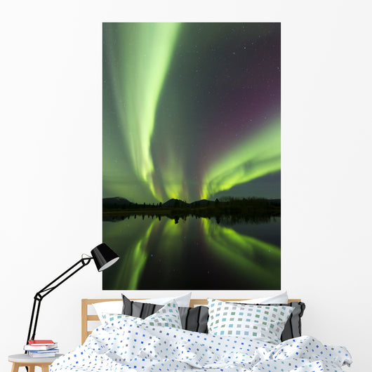 Aurora Borealis over Fish Wall Decal Design 24