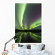 Aurora Borealis over Fish Wall Decal Design 24