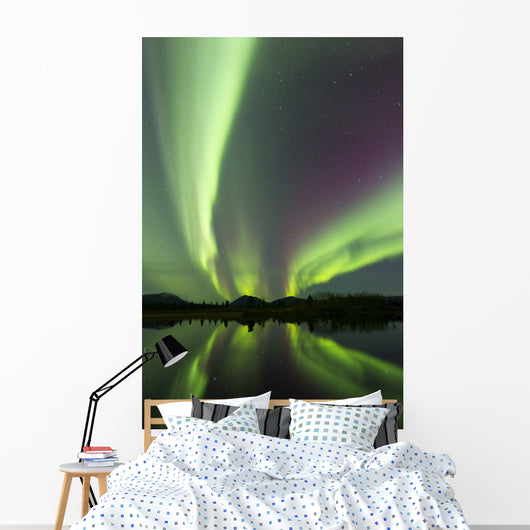 Aurora Borealis over Fish Wall Decal Design 24