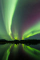 Aurora Borealis over Fish Wall Decal Design 24
