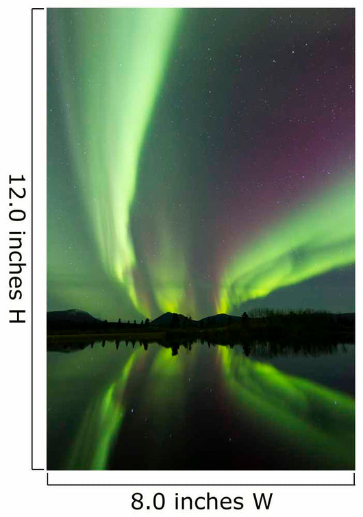 Aurora Borealis over Fish Wall Decal Design 24