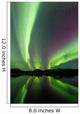 Aurora Borealis over Fish Wall Decal Design 24