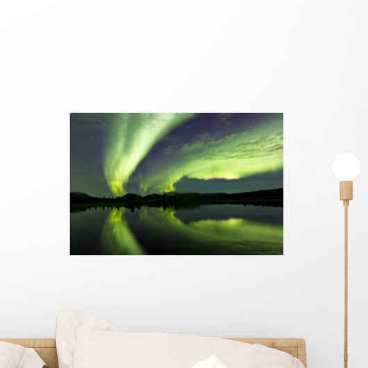 Aurora Borealis over Fish Wall Decal Design 23