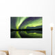 Aurora Borealis over Fish Wall Decal Design 23