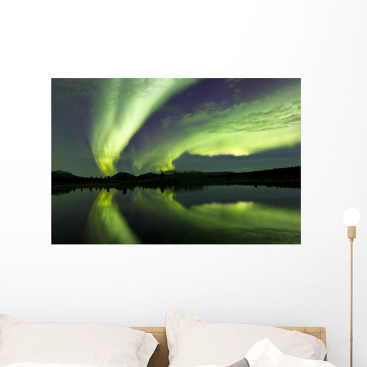 Aurora Borealis over Fish Wall Decal Design 23