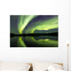 Aurora Borealis over Fish Wall Decal Design 23