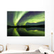 Aurora Borealis over Fish Wall Decal Design 23