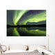 Aurora Borealis over Fish Wall Decal Design 23