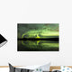 Aurora Borealis over Fish Wall Decal Design 22