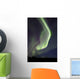 Aurora Borealis over Fish Wall Decal Design 20
