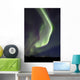 Aurora Borealis over Fish Wall Decal Design 20