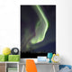 Aurora Borealis over Fish Wall Decal Design 20