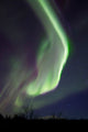Aurora Borealis over Fish Wall Decal Design 20