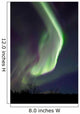 Aurora Borealis over Fish Wall Decal Design 20