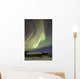 Aurora Borealis over Fish Wall Decal Design 19