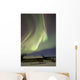 Aurora Borealis over Fish Wall Decal Design 19