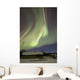 Aurora Borealis over Fish Wall Decal Design 19