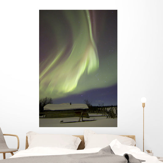 Aurora Borealis over Fish Wall Decal Design 19
