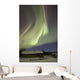 Aurora Borealis over Fish Wall Decal Design 19