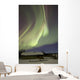 Aurora Borealis over Fish Wall Decal Design 19
