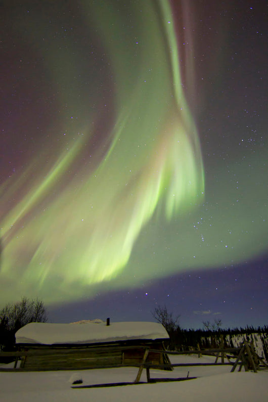 Aurora Borealis over Fish Wall Decal Design 19