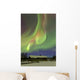 Aurora Borealis and Orion's Wall Decal