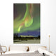 Aurora Borealis and Orion's Wall Decal