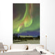 Aurora Borealis and Orion's Wall Decal
