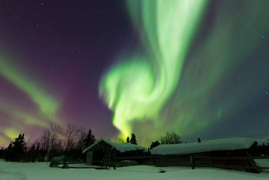 Aurora Borealis over Log Wall Decal