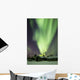 Aurora Borealis and Big Wall Decal Design 6