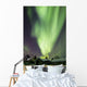 Aurora Borealis and Big Wall Decal Design 6