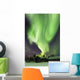 Aurora Borealis and Big Wall Decal Design 5