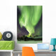 Aurora Borealis and Big Wall Decal Design 5